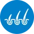 Hair follicle support icon