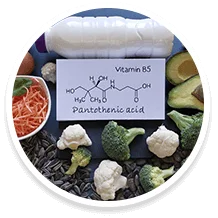 Pantothenic acid, vitamin B5, and its food sources